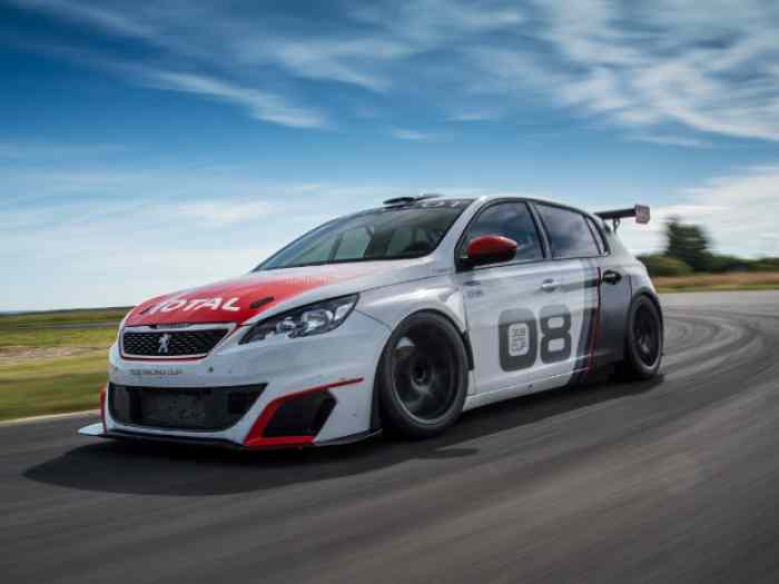 Peugeot 308 Racing Cup : Essai et Participation possible au DTC 0