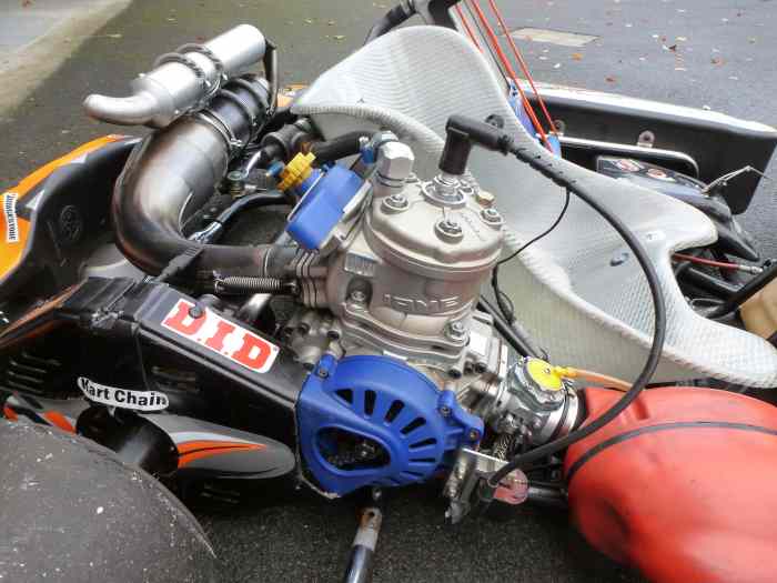 Karting IAME 125cc 1