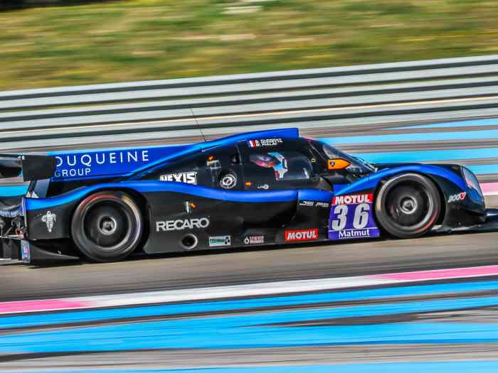 Ligier JS P3 LMP3 #81 - Carros de corrida a venda