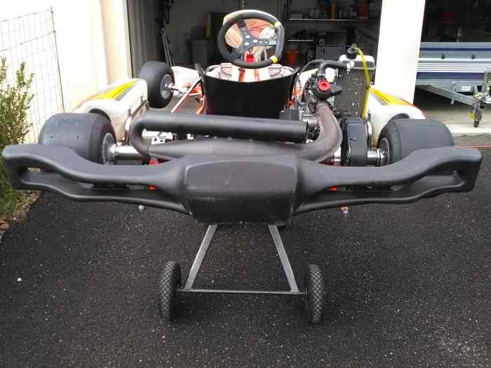 Karting Rotax Max 125cm3 4