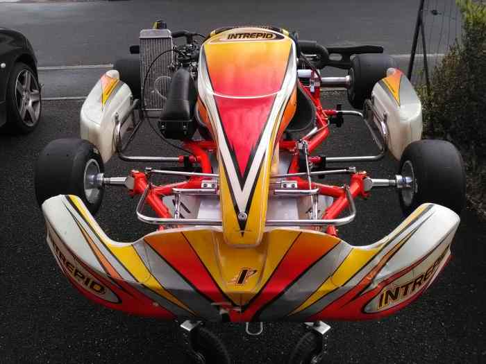 Karting Rotax Max 125cm3 5
