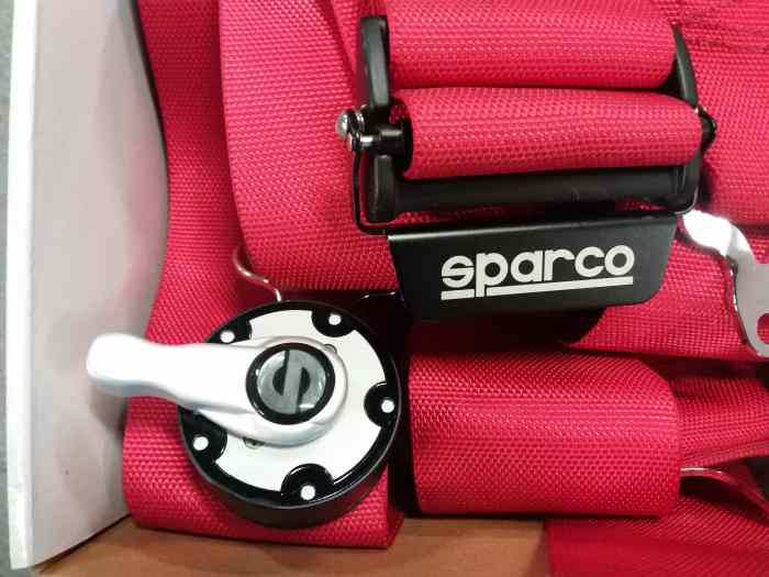 Harnais SPARCO 1