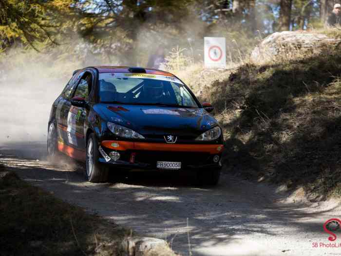 PEUGEOT 206 RC TOP GROUPE N 0