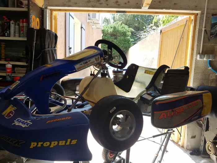 Karting Sodi moteur Iame 125 1