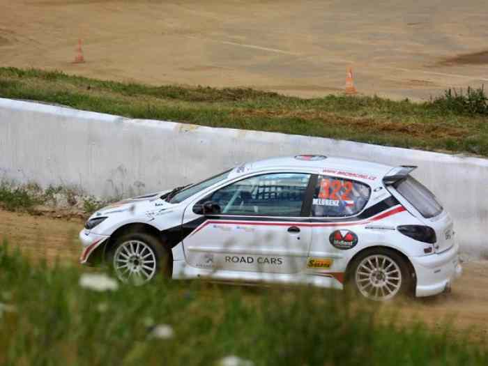 Peugeot 206 S1600 Rallycross,Autocross 1