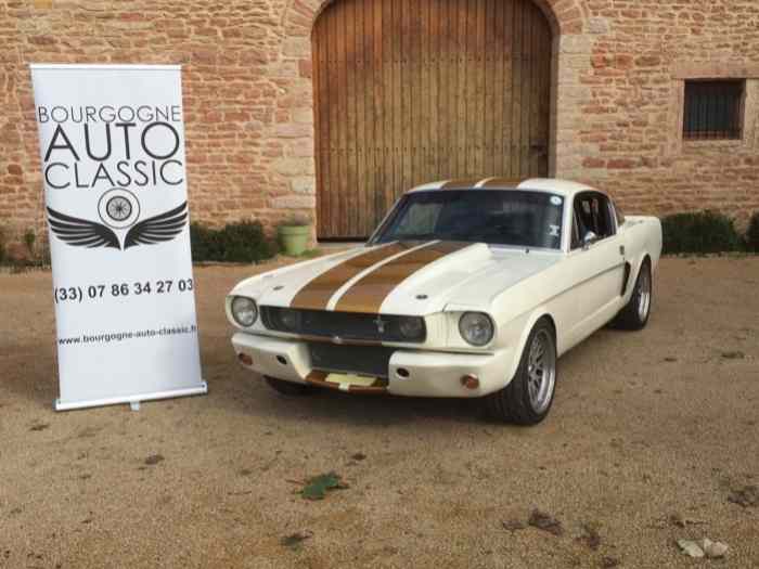 Mustang 1966 Fast Back préparation complète route /circuit (100 000 euros investis ) 1