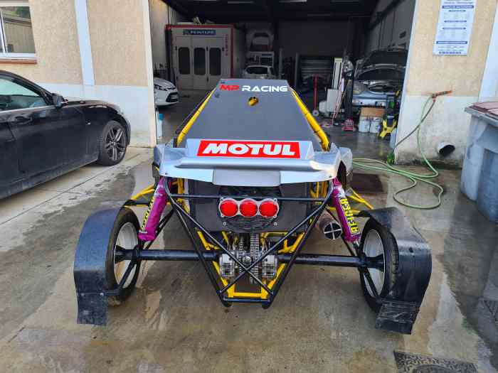 Buggy 1600 Peters 2019 3