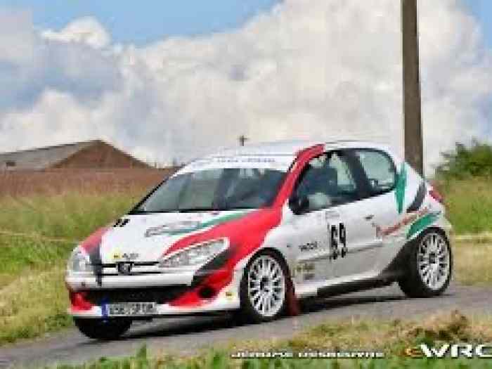 Peugeot 206 F2013 3