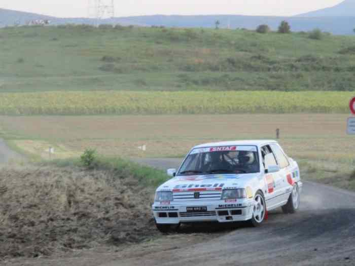 PEUGEOT 309 GTi 16s Groupe A (Réplique) 3