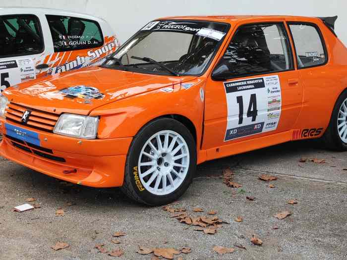 Peugeot 205 maxi F2014 0