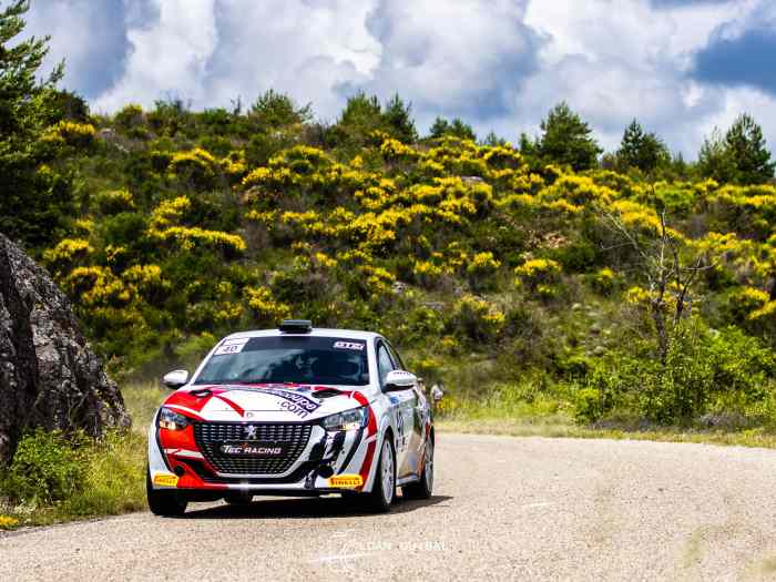 peugeot 208 rallye 4 0