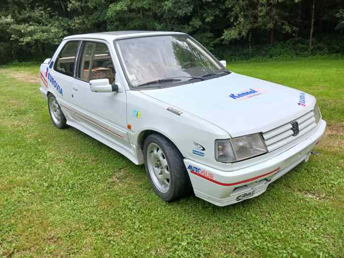 309GTI16 2