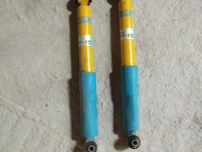 Amortisseurs BILSTEIN arrière C2