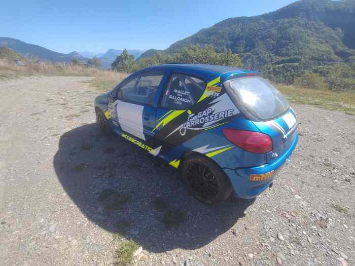 206 F213 Pièces Et Voitures De Course à Vendre De Rallye Et De Circuit