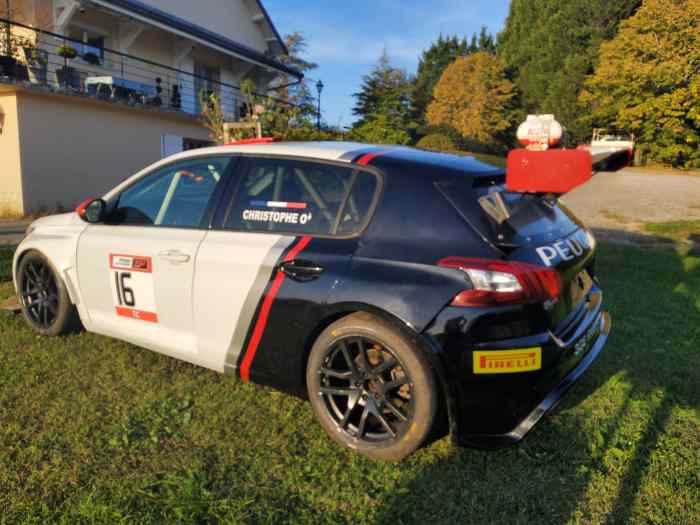 Peugeot 308 Racing Cup 330 HP 2