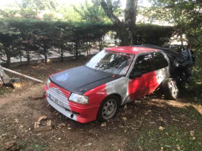 Peugeot 309 gti 5