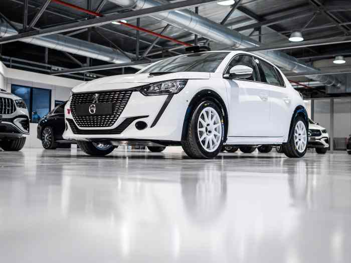 Peugeot 208 Rally 4 0