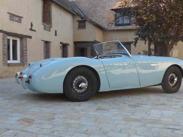 AUSTIN HEALEY 100/4 BN1 DE 1955 - ENTIEREMENT RESTAUREE 1