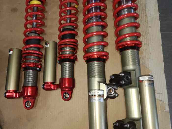 DS3 R3T Gravel shock absorbers 1