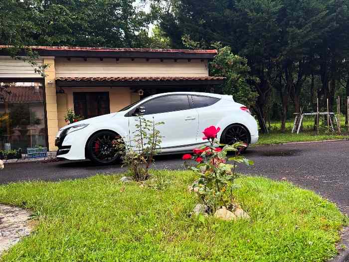 Megane 3rs 5