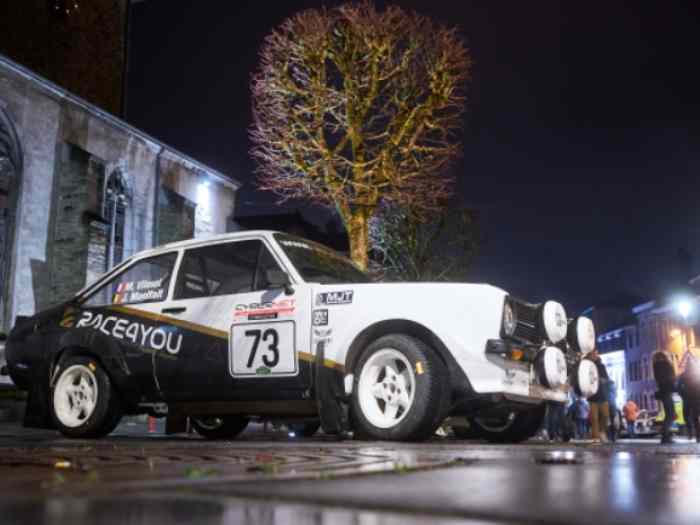 Ford Escort MK2 BDG Gr 4 FIA 3