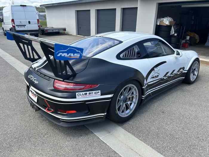 Porsche 991 GT3 CUP 2015 2