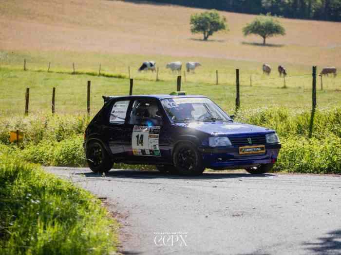 Peugeot 205 F2014 3