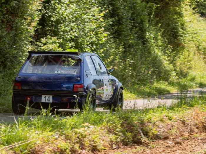 Peugeot 205 F2014 5