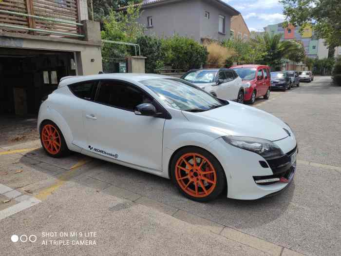 Megane 3 rs cup 265 ch 2