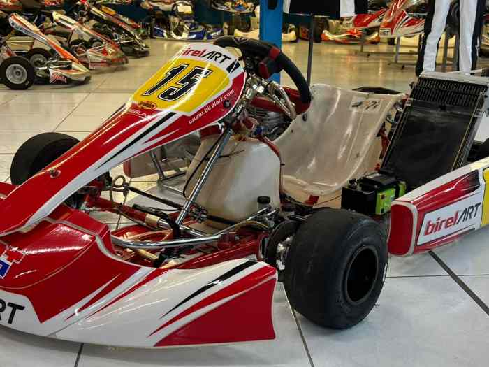 Karting kz iame 175 birel art 5