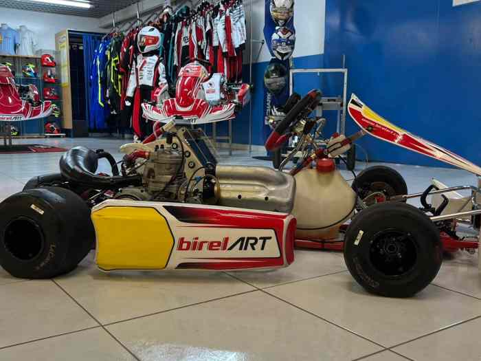 Karting kz iame 175 birel art 1