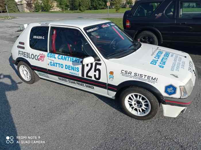 Peugeot 205 gti PTH FIA 1