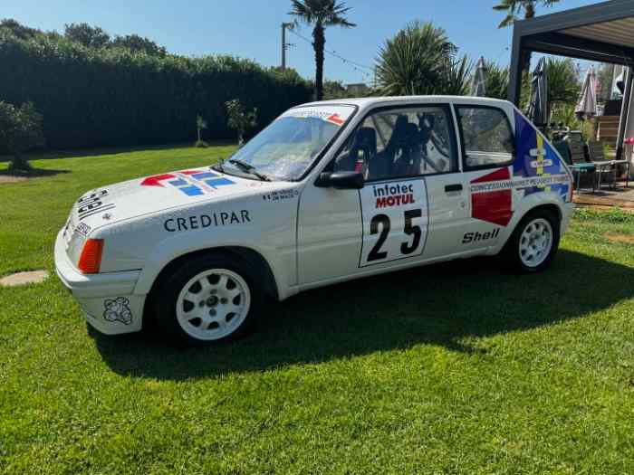 VRAI 205 RALLYE GRA EX IVENS