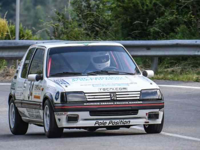 Peugeot 205 gti PTH FIA 2