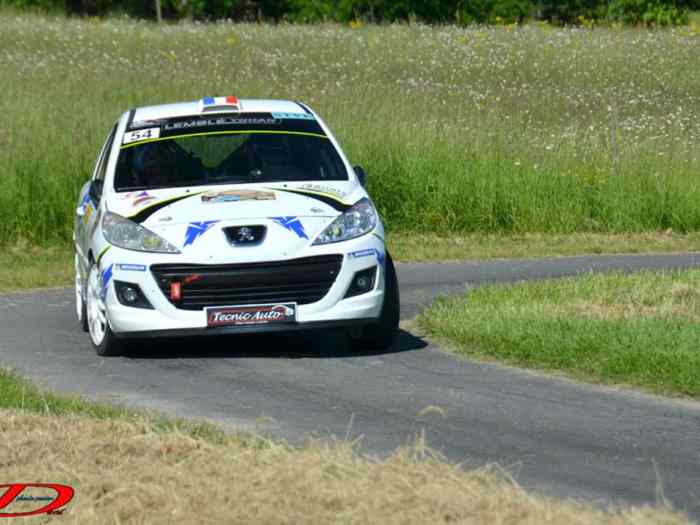 Peugeot 207 R3T evo 0