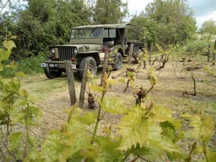 Jeep Willys 1949 4