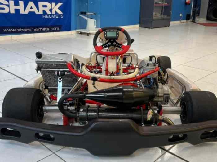 Karting kz iame 175 birel art 2