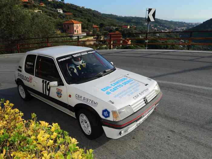 Peugeot 205 gti PTH FIA 4