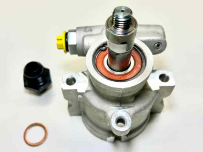 Peugeot 306 Maxi power steering pump