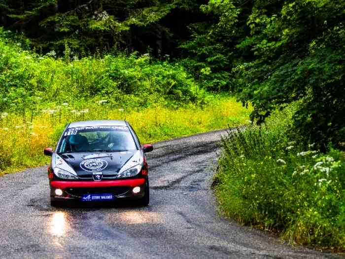 Peugeot 206 N2S