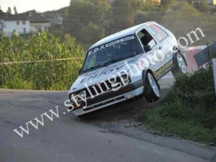 Golf MK2 htp fia 5