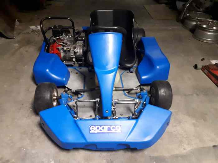 Karting Egakart Honda 200 4T 5