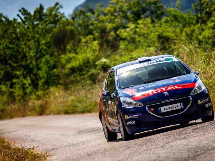 Location Peugeot 208 R2