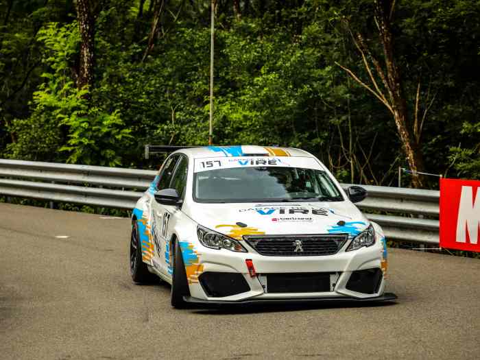 Peugeot 308 cup 1