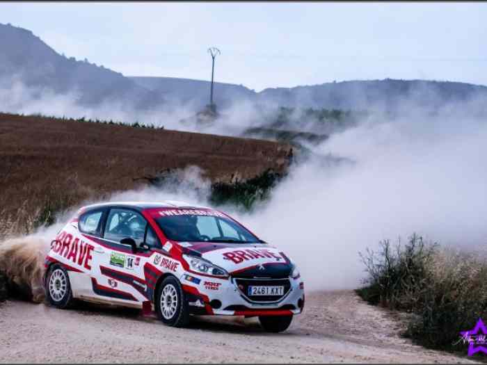 PEUGEOT 208 R2 GRAVEL 2