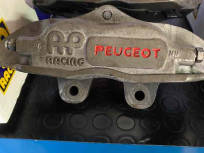 Pinze AP Racing anteriori Peugeot 205/...