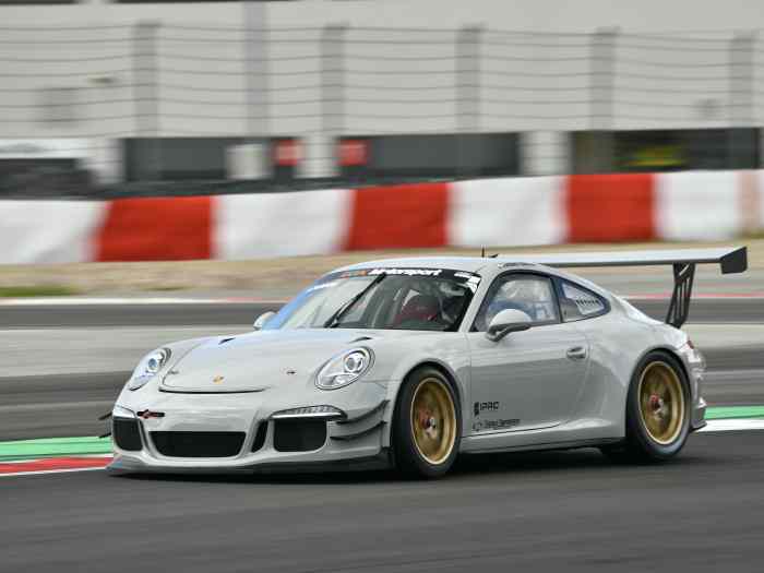 Porsche 991.1 GT3 Cup with ABS and TC ( 2014 ) 0