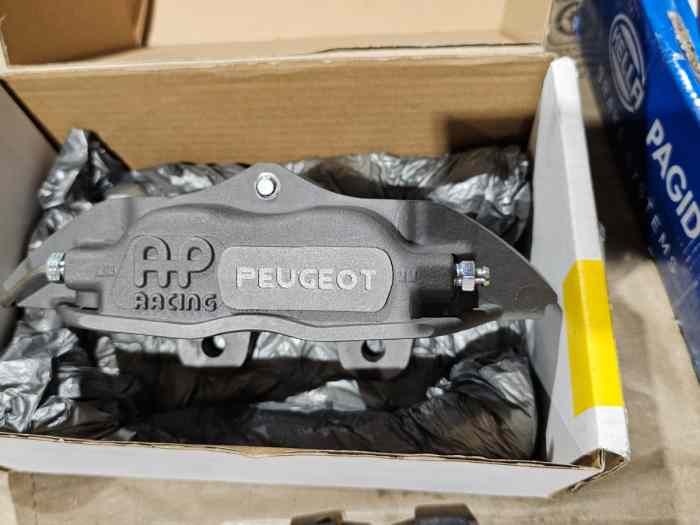 Pinzas freno Ap Racing Peugeot Sport 1