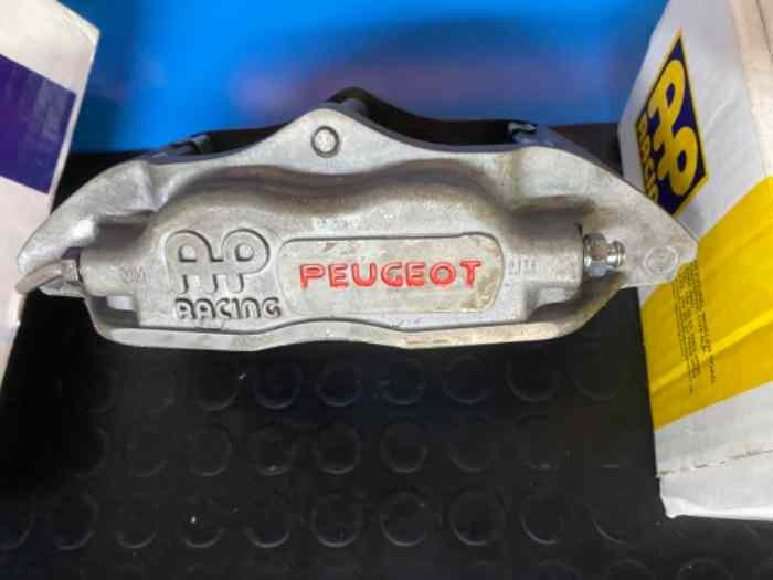 Pinze AP Racing anteriori Peugeot 205/106 3