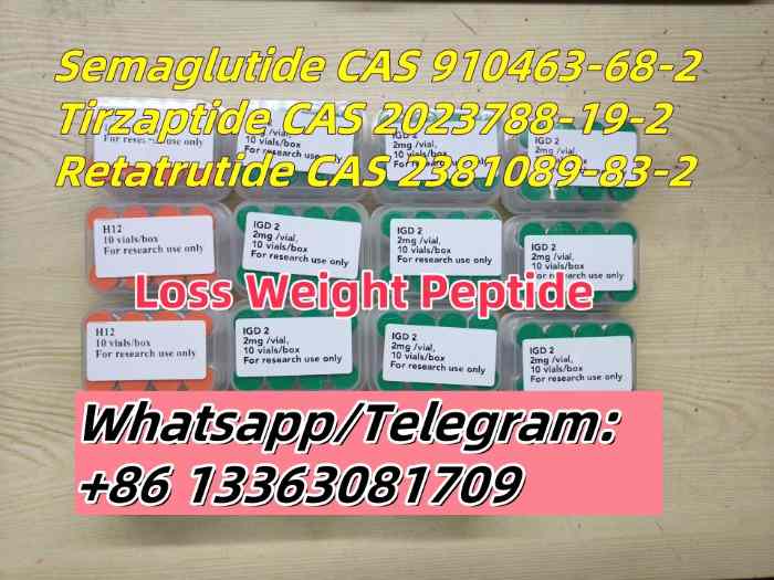 Semaglutide CAS 910463-68-2 GLP-1 AR Weight loss peptide Liraglutide Tirzepatide 2